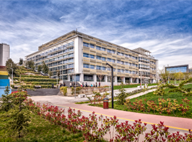 Competition Law in Labor Markets